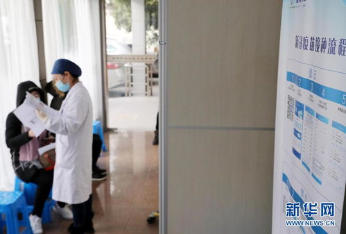 上海启动因私出国人员新冠疫苗预约接种服务 优化因私出入境中介服务体验