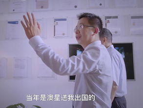 上海分公司因私出入境中介服务 打造全球化服务新标杆